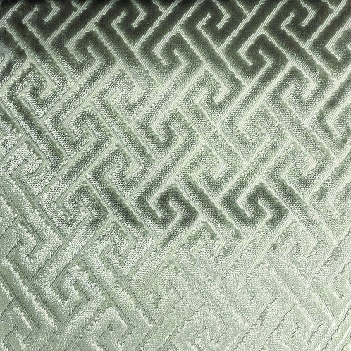 Raffles Trellis 4